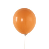 50 Pack Matte Pastel Caramel Biodegradable Balloons 12inch, Round Eco-friendly#whtbkgd