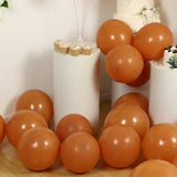 50 Pack Matte Pastel Caramel Biodegradable Balloons 12inch, Round Eco-friendly