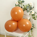 50 Pack Matte Pastel Caramel Biodegradable Balloons 12inch, Round Eco-friendly