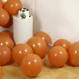 50 Pack Matte Pastel Caramel Biodegradable Balloons 12inch, Round Eco-friendly