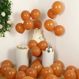 50 Pack Matte Pastel Caramel Biodegradable Balloons 12inch, Round Eco-friendly