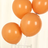 50 Pack Matte Pastel Caramel Biodegradable Balloons 12inch, Round Eco-friendly