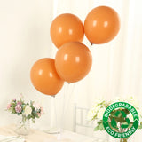 50 Pack Matte Pastel Caramel Biodegradable Balloons 12inch, Round Eco-friendly