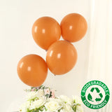 50 Pack Matte Pastel Caramel Biodegradable Balloons 12inch, Round Eco-friendly