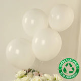 50 Pack Matte Pastel Off White Biodegradable Balloons 12inch, Round Eco-friendly