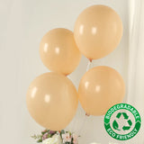 50 Pack Matte Pastel Peach Biodegradable Balloons 12inch, Round Eco-friendly