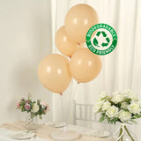 50 Pack Matte Pastel Peach Biodegradable Balloons 12inch, Round Eco-friendly