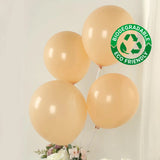 50 Pack Matte Pastel Peach Biodegradable Balloons 12inch, Round Eco-friendly