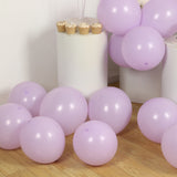 50 Pack Matte Pastel Purple Biodegradable Balloons 12inch, Round Eco-friendly