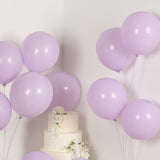 50 Pack Matte Pastel Purple Biodegradable Balloons 12inch, Round Eco-friendly