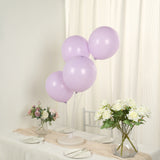 50 Pack Matte Pastel Purple Biodegradable Balloons 12inch, Round Eco-friendly