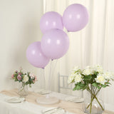 50 Pack Matte Pastel Purple Biodegradable Balloons 12inch, Round Eco-friendly