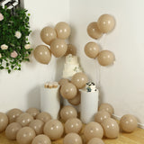 50 Pack Matte Pastel Taupe Biodegradable Balloons 12inch, Round Eco-friendly