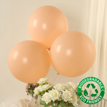 10 Pack Matte Pastel Blush Biodegradable Balloons 18", Round Eco-friendly Thick Latex Party Balloons