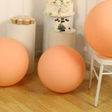 5 Pack Large Matte Pastel Blush Biodegradable Balloons, 36inch Round Eco-friendly