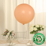 5 Pack Large Matte Pastel Blush Biodegradable Balloons, 36inch Round Eco-friendly