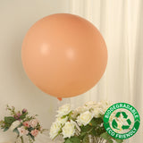 5 Pack Large Matte Pastel Blush Biodegradable Balloons, 36inch Round Eco-friendly