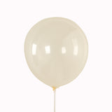 50 Pack Clear Biodegradable Balloons, Thickened Extra Strong Eco-friendly Latex#whtbkgd