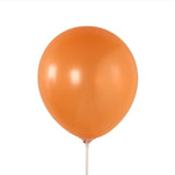 50 Pack Orange Biodegradable Balloons, Thickened Extra Strong Eco-friendly Latex Helium#whtbkgd