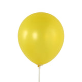 50 Pack White Biodegradable Balloons, 12 Thickened Extra Strong Eco-friendly Latex#whtbkgd