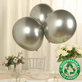 10 Pack Silver Biodegradable Balloons, 18" Thickened Extra Strong Eco-friendly Latex Helium