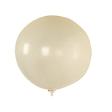 5 Pack Large Clear Biodegradable Balloons, 36" Thickened Extra Strong Eco-friendly Latex#whtbkgd