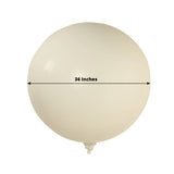 5 Pack Large Off White Biodegradable Balloons, 36" Thickened Extra Strong Eco-friendly Latex Helium