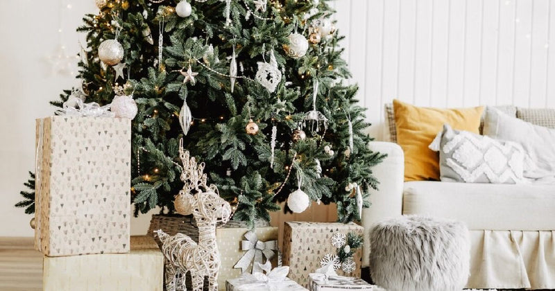 White Winter Wonderland Theme