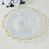 6 Pack 13inch Clear Round Reef Acrylic Plastic Charger Plates With Gold Rim, Dinner Charger Plates