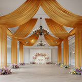 Gold Sheer Backdrop Drape – 5ftx32ft Wedding Arch & Ceiling Decor Panel, Wrinkle-Resistant with Soft