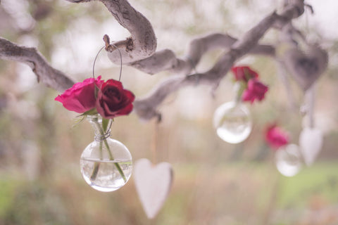 Clear glass hanging ornaments with red roses