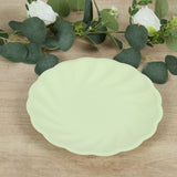 20 Pack Biodegradable Dinner Plates in Sage Green – Swirl Scalloped Pastel Color Composable