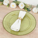 10-Pack Plastic 10inch Round Dinner Plates in Transparent Dusty Sage Green Beaded Rim - Disposable