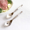 10 Pack Silver Large Serving Spoons, 10inch Heavy Duty Plastic Spoons