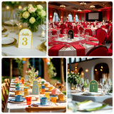 25 Pack Sage Green Arch Table Numbers Tent Cards with Metallic Gold Foil 1-25 Numbers Print