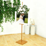 Gold Metal Painting Display Easel Stand 5.5ft - Adjustable Heavy-Duty Holder for Frames, Canvas