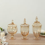 Set of 3 Amber Gold Apothecary Glass Jars with Snap On Lids, Decorative Footed Storage Jars