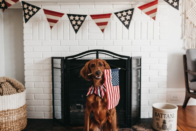 Dog holding an American flag at a patriotic Labor Day display