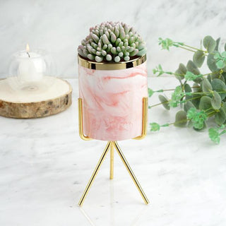 Elegant Pink Marble Ceramic Vase Planter Pot With Gold Metal Stand