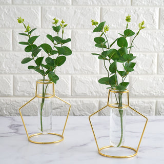 Elegant Geometric Gold Metal Frame Test Tube Vase Flower Stands