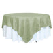 90inch x 90inch Sage Green Accordion Crinkle Taffeta Square Table Overlay