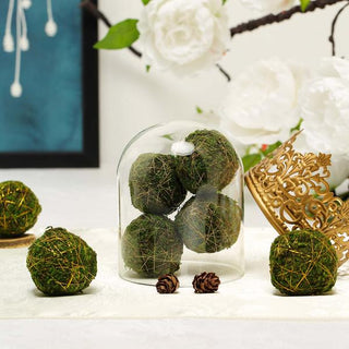 Enhance Your Home Décor with Handmade Preserved Natural Moss Ball Vase Fillers