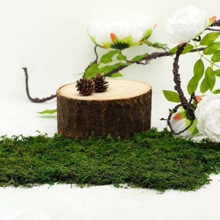 Create Stunning Green DIY Crafts with Natural Reindeer Moss Grass