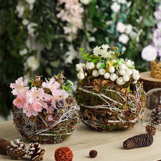 Natural Birds Nest Preserved Moss Twigs Planter Boxes - Refreshing Green Accents for Your Space
