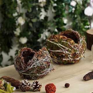 Enhance Your Space with Natural Birds Nest Preserved Moss Twigs Planter Boxes