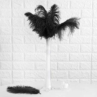 Enhance Your Décor with 12 Pack of Black Natural Plume Real Ostrich Feathers
