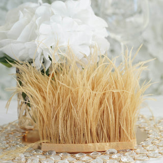 Create a Magical Atmosphere with Gold Ostrich Feather Fringe Trim