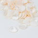 400 Pack | Shiny Ivory Life-Like Flower Petals, Silk Rose Petal Round Table Confetti#whtbkgd