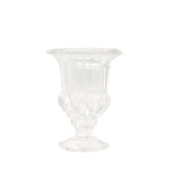 2 Pack Clear Glass Pedestal Flower Vases in Classic Roman Urn Style, 6inch Mini Floral Vase#whtbkgd