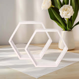 2 Pack | 9Inch Hexagon Whitewashed Wood Centerpiece, Geometric Terrarium, Honeycomb Storage Shelf